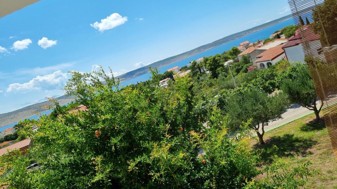 Arts Room Jasmina With Sea View Bikers And Pets Are Welcome Starigrad Exterior photo