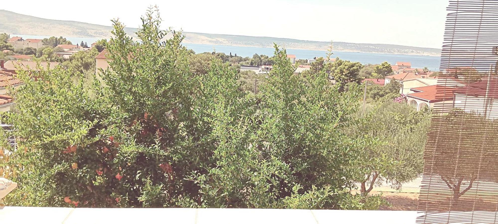 Arts Room Jasmina With Sea View Bikers And Pets Are Welcome Starigrad Exterior photo